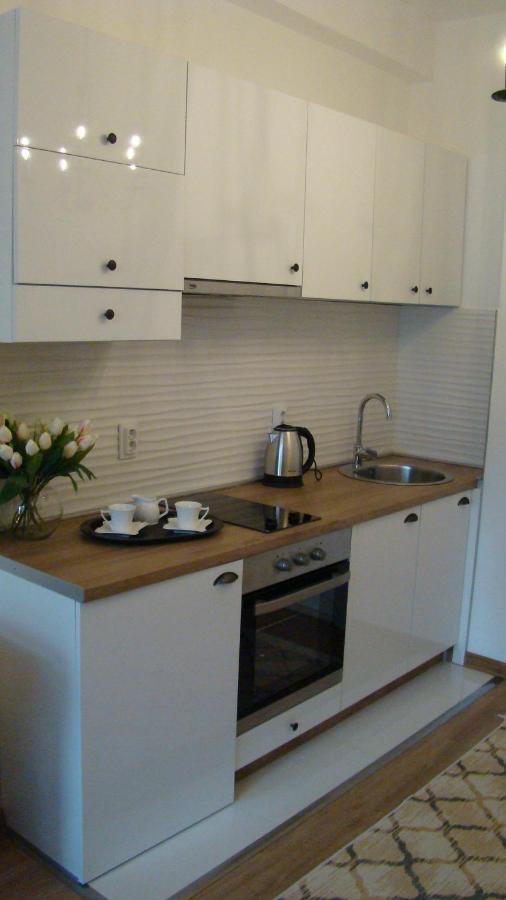 Apartament Gagovic Cetynia Zewnętrze zdjęcie